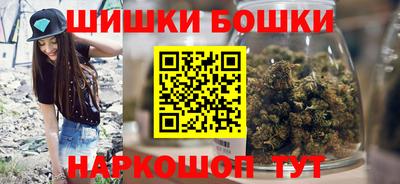 твердый Бийск