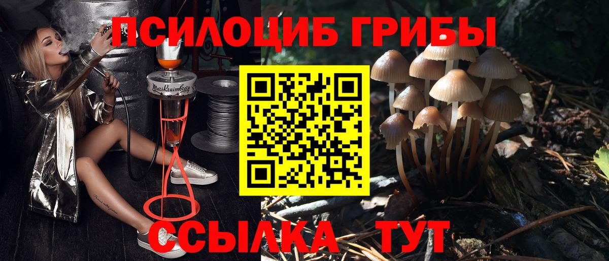 Галлюциногенные грибы ЛСД Ивантеевка