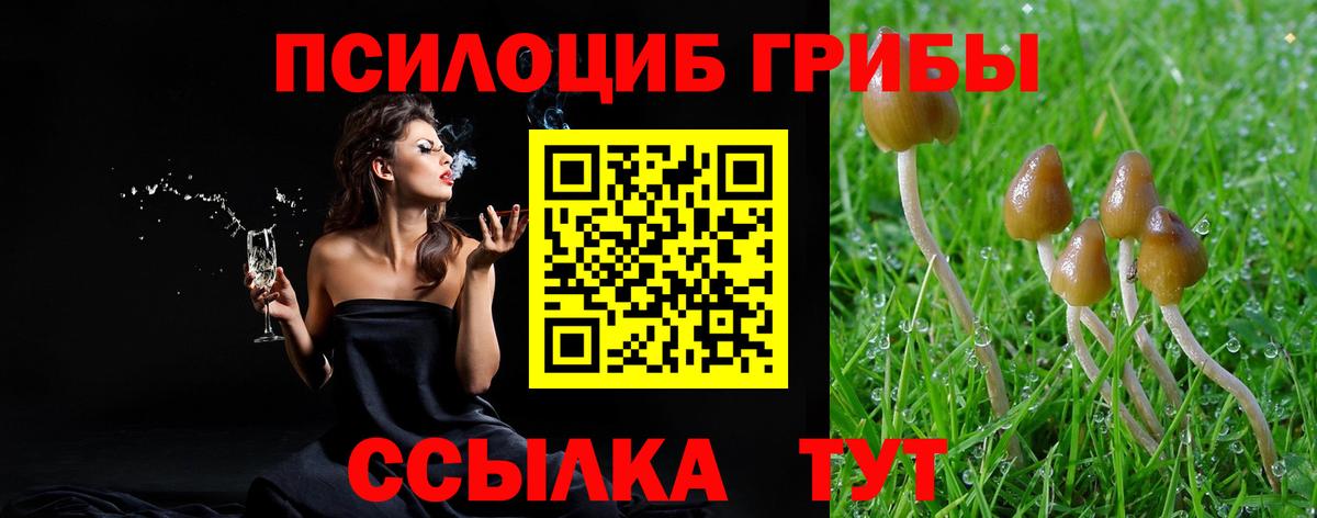 Ивантеевка  Псилоцибиновые грибы GOLDEN TEACHER  Вход с VPN 
